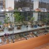 Фото моделей выставки "Во славу Отечества!" 2023
