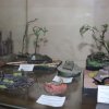 Фото моделей выставки "Во славу Отечества!" 2023