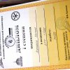 Выставка "Во славу Отечества"   2020 г.