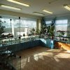 Выставка "Во славу Отечества"   2020 г.  Фото моделей.