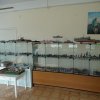 Выставка "Во славу Отечества"   2020 г.  Фото моделей.