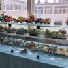 Открытие выставки "Во славу Отечества" 2023 г